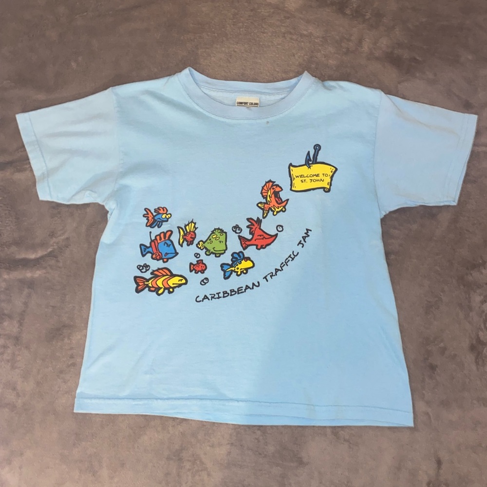 Comfort Colors T-shirt Crop Light Blue Graphic Medium
